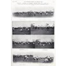 England v Ireland, 1905