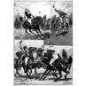 Polo Playing, 1891