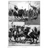 Polo Playing, 1891