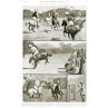Station Polo In Burmah, 1906