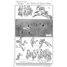Rugby - Gentle & Joyous Game