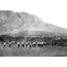 British Team v Cape Colony, 1891