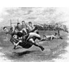 Victorian Rugby, Collared