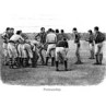 Victorian Rugby, Partisanship