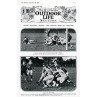 London Irish Practice, 1909