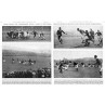 Ireland v Wales, 1931
