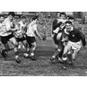 Wales v France, 1966