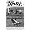 England v South Africa, 1913