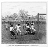Victorian Soccer, Field Changes