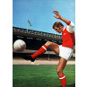 Terry Neill