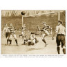 England v Scotland, 1905