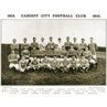 Cardiff City FC, 1913