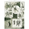Notes On Pheasant Shooting, 1905