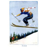 The Skier