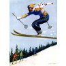 The Skier