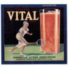 Vital Orange Juice