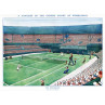 Wimbledon Debutante