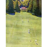 Lawn Tennis