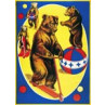 Circus Bears