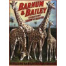 Barnum and Bailey, Giraffes, 1917