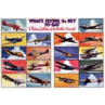 World Aircraft, 1938