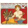 Waverley Cycles, 1898