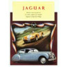 Jaguar, 1954