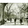 Tremont Street & The Common, Boston, 1899