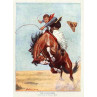 The Buckjumper