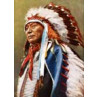 Sioux Indian Chief