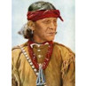 Hopi Indian