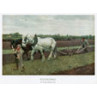 Ploughing