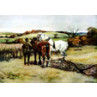 End Of The Furrow