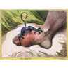 The Gout, James Gillray, 1799