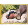 The Gout, James Gillray, 1799